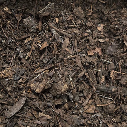 Leaf Grow, composted leaves