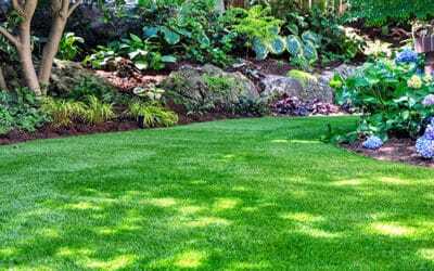 Beautiful Spring & Summer-Worthy Yards with CLM in Boonsboro