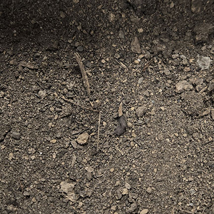 Screened Topsoil