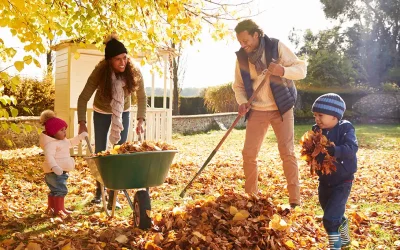 Fall Newsletter – Prep to Keep Your Yard Healthy & Beautiful