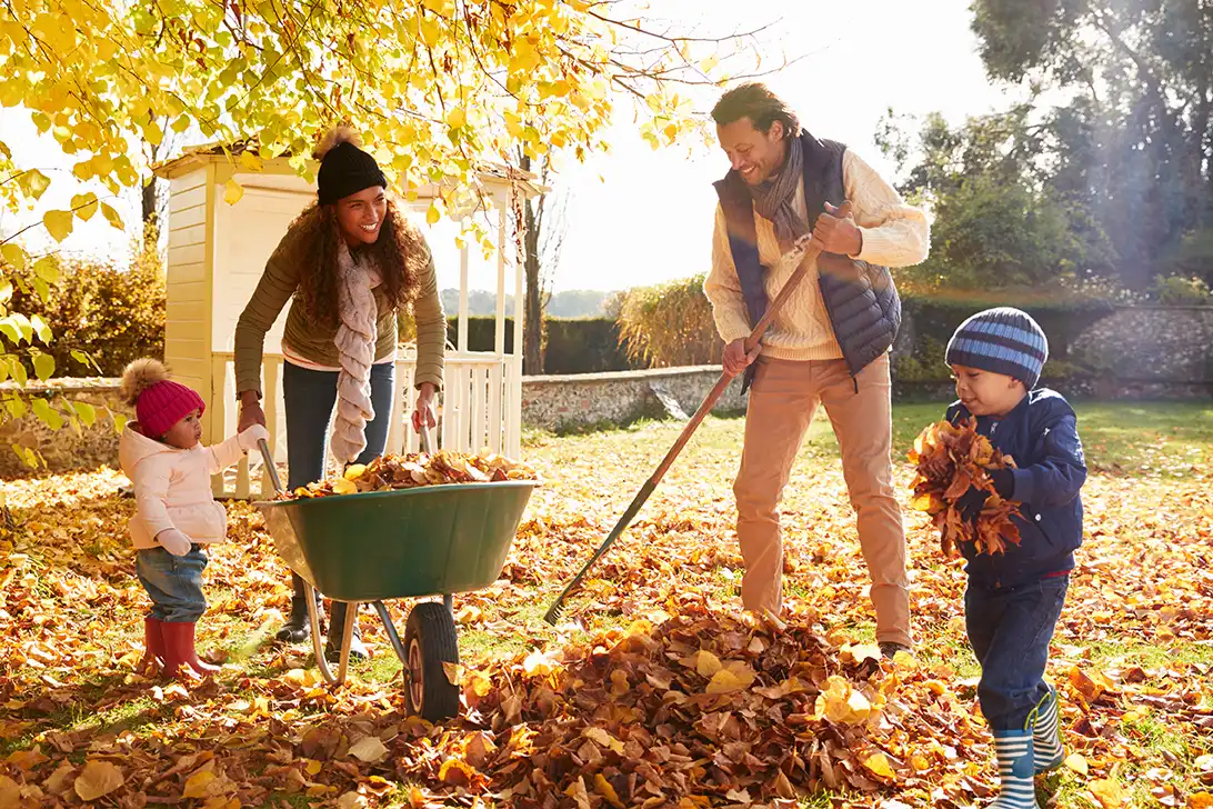 Family doing fall yard work, raking leaves